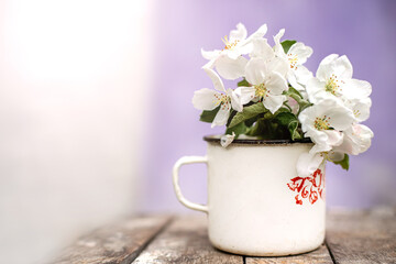 Still life with cup and bouquet of branches with apple blossoms. White petals of flowering trees that fell on concrete