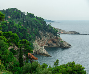 Chorwackie wybrzeże wypełnione zielenią