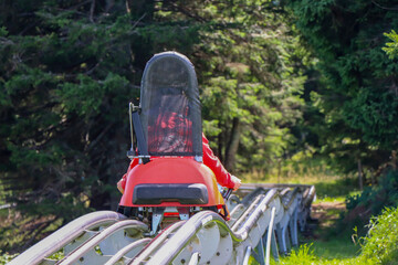 Little boy enjoying a summer fun roller alpine coaster ride - 459763802