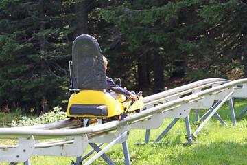 Little boy enjoying a summer fun roller alpine coaster ride - 459763824