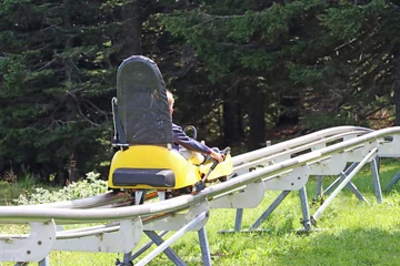Foto op Canvas Little boy enjoying a summer fun roller alpine coaster ride © smuki