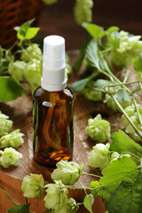 Hops essential oil or herbal water is good for skin and hair care, glass amber bottle with natural extract on rustic wooden background, closeup, organic cosmetics and naturopathy concept