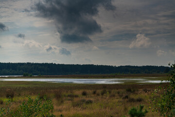 Teiche und Feuchtgebiete im Nationalpark Dwingelderveld in den Niederlanden