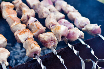 Delicious barbecue of hot pork on a spit