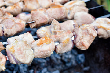 Delicious barbecue of hot pork on a spit