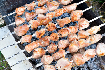 Delicious barbecue of hot pork on a spit