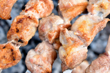 Delicious barbecue of hot pork on a spit