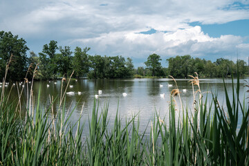 Ponds Faith, Hope and Love, South Bohemia