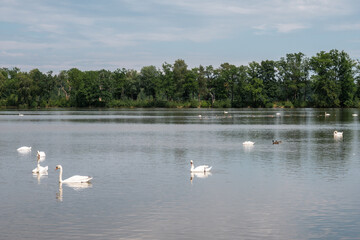 Ponds Faith, Hope and Love, South Bohemia