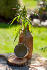 Cannabis green balm. Marijuana bud flower put in ceramic jar. Wooden log close up background.