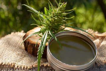 Cannabis green balm. Marijuana bud flower. Wooden log close up background.