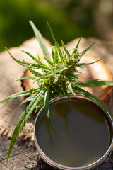 Cannabis green balm. Marijuana bud flower. Wooden log close up background.