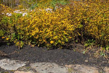 Outside in fall autumn in Vermont