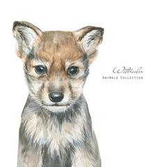 Watercolor baby wolf. Animal cub illustration.
