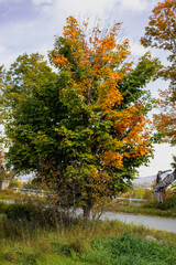 Outside in fall autumn in Vermont