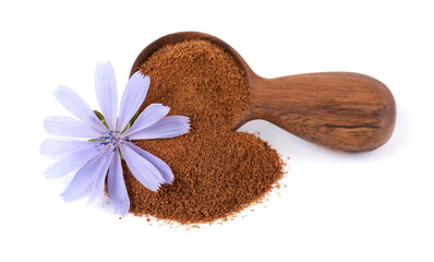 Chicory powder and flower in wooden spoon, isolated on white background. Cichorium intybus.