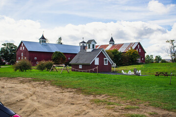 Outside in fall autumn in Vermont