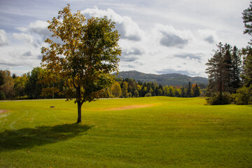 Outside in fall autumn in Vermont