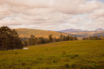 Outside in fall autumn in Vermont
