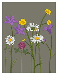 Wild flowers in meadow