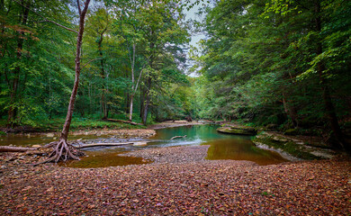 War Fork Creek located near Turkey Foot Campground in Jackson County, KY.