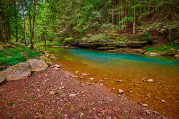 The clear waters of War Fork Creek in Jackson County, KY located near Turkey Foot Campground. - obrazy, fototapety, plakaty