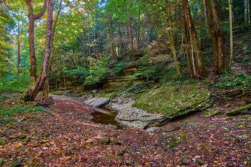 Rock shelf along War Fork Creek in Jackson County, KY.