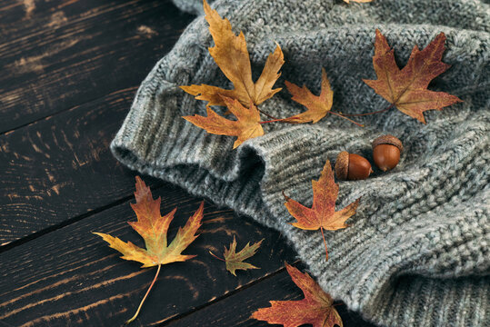 Autumn composition. Knitted gray plaid or scarf, fallen leaves and acorns on a dark wooden background. Hello autumn, Cozy atmosphere. 