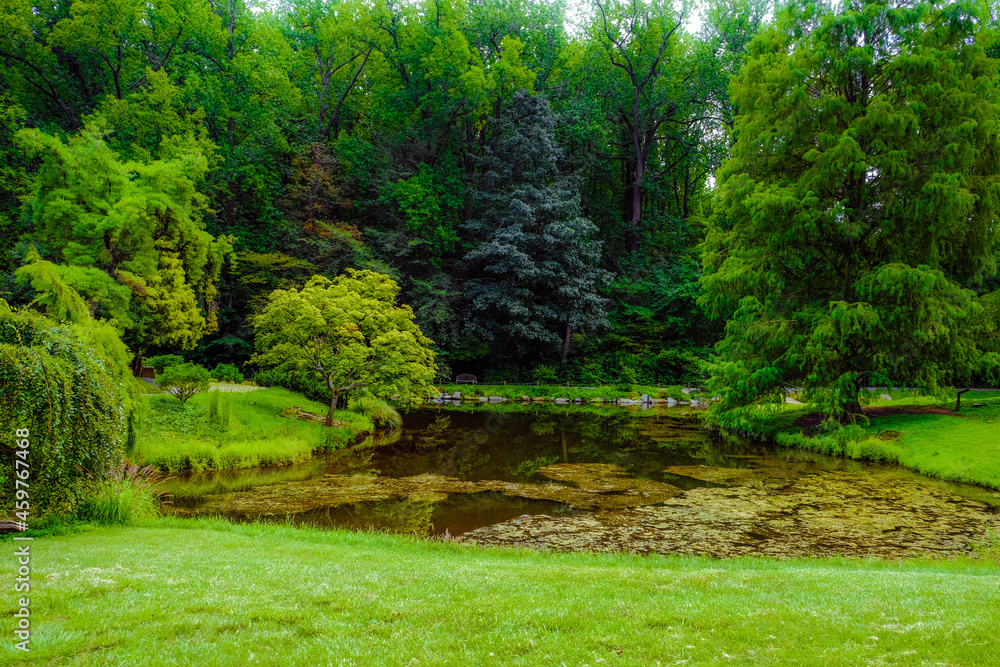 Sticker Green park with high dense trees and a water zone on a gloomy day