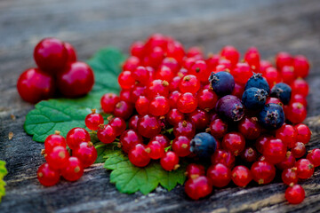 currant berries lie on a dark background. High quality photo