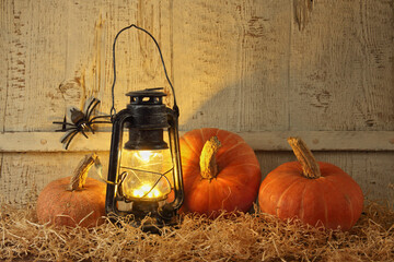 Autumn still life with pumpkins and lantern on a wooden background