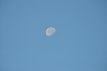 Mond