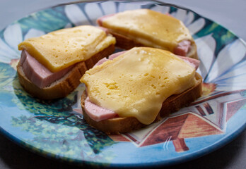 Close up of tasty sandwich with ham and tomatoes. Whole background.