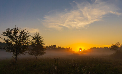 Fototapeta na wymiar Misty sunrise in the meadow
