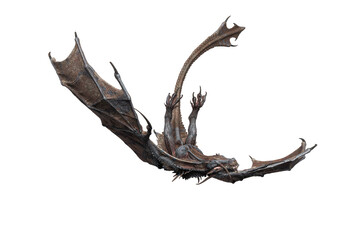 master dragon is falling down