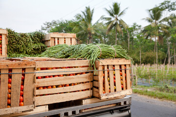 Boxes of tomatoes in the back of the truck. Vigna and tomatoes. Vegetables are transported for sale.