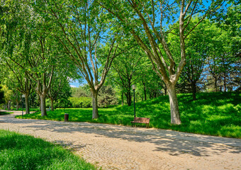 Public and natural park land in Bursa Botanical Park with gravel and cobblestone walking path with wooden bench and green area.