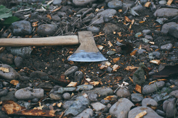 the ax lies on the ground