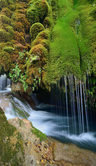 waterfall in the forest