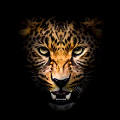Foto op Plexiglas portret van een tijger © reznik_val