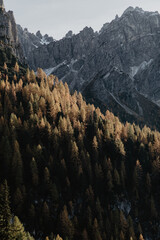 fall