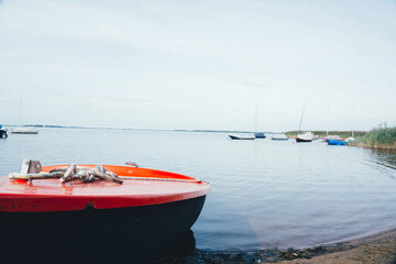 Obraz premium asdfasdasdaS