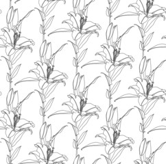 Floral seamless pattern of black linear drawing of lily flowers on white background. Decorative print for wallpaper, coloring, wrapping, textile, fashion fabric or other printable covers.