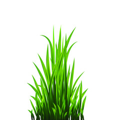 Green grass set. Fresh herb: natural, organic, bio, eco label and shape isolated on white background. Vector illustration.