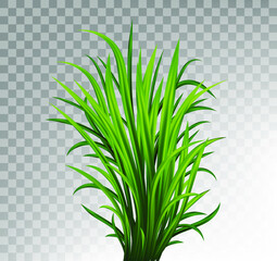 Green grass set. Fresh herb: natural, organic, bio, eco label and shape isolated on white background. Vector illustration.
