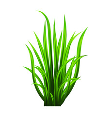 Green grass set. Fresh herb: natural, organic, bio, eco label and shape isolated on white background. Vector illustration.