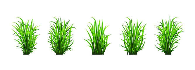 Green grass set. Fresh herb: natural, organic, bio, eco label and shape isolated on white background. Vector illustration.