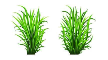 Green grass set. Fresh herb: natural, organic, bio, eco label and shape isolated on white background. Vector illustration.