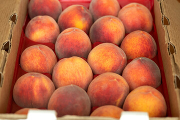 Box of peaches Angelus variety in a flat, box