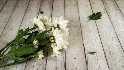 bouquet of white autumn chrysanthemums on a wooden background
